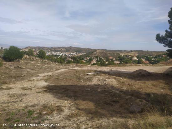 PARCELA COMPLETAMENTE LLANA Y CON VISTAS INMEJORABLES EN ZONA EXCLUSIVA DE LA ALCAYNA - MURCIA