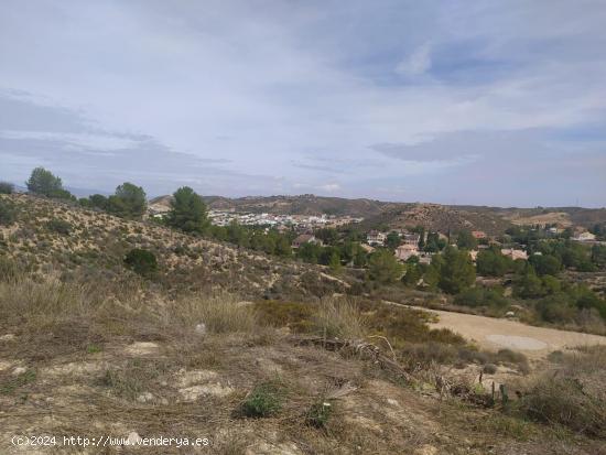 PARCELA COMPLETAMENTE LLANA Y CON VISTAS INMEJORABLES EN ZONA EXCLUSIVA DE LA ALCAYNA - MURCIA