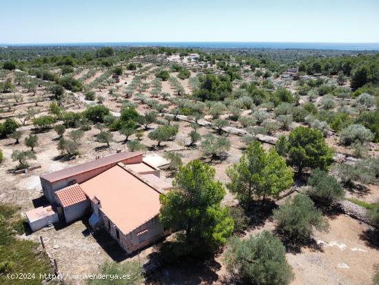  Bonita Finca Rústica con impresionante Masía de campo de 210 M2, vistas al mar - TARRAGONA 