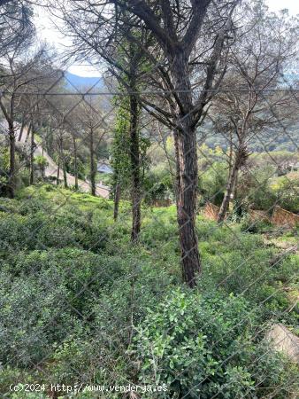 Terreno en Dosrius - BARCELONA