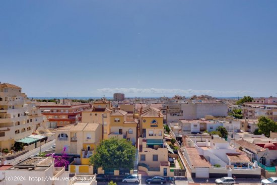 Apartamento en venta en Torrevieja (Alicante)