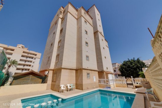 Apartamento en venta en Torrevieja (Alicante)