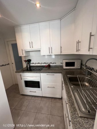 Apartamento en alquiler en Marbella (Málaga)