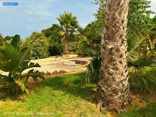 Venta de parcela en Cala Flores de 1855 m2 - MURCIA