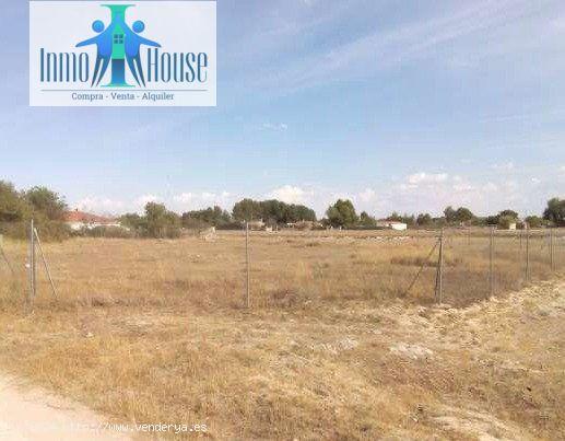 Inmohouse vende terreno en paraje da casas viejas (Albacete) - ALBACETE