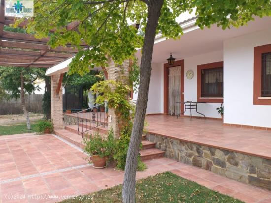 Se Vende en Albacete - ALBACETE