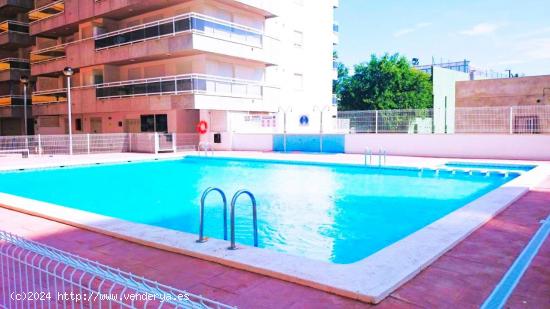 APARTAMENTO EN ALQUILER EN EDIFICIO COLOMERAS EN OROPESA DEL MAR (CASTELLÓN) - CASTELLON