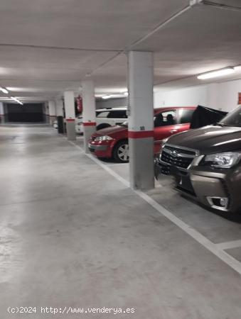 PLAZA DE GARAJE SUBTERRÁNEO EN URBANIZACIÓN EL PALMERAL DE ALICANTE - ALICANTE