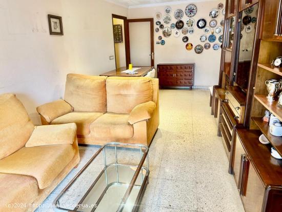 Se Vende en Palma de Mallorca - BALEARES