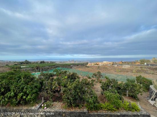  ¡Descubre tu paraíso privado! Finca productiva con vistas al mar y construcción de 2203 m2 - SANT 