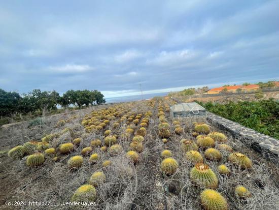 ¡Descubre tu paraíso privado! Finca productiva con vistas al mar y construcción de 2203 m2 - SANT