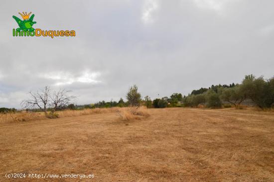 TERRENO RUSTICO CON CASITA DE APERIOS - GRANADA