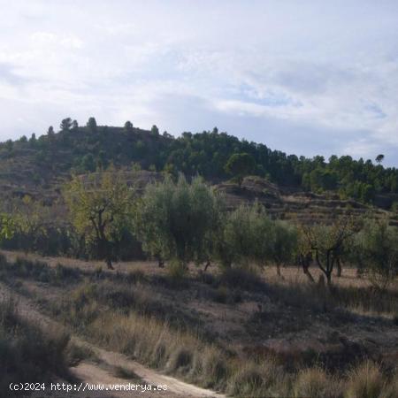 Se Vende en Abanilla - MURCIA