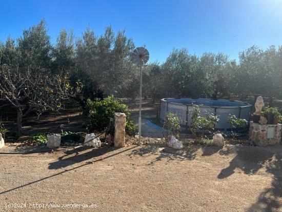 Finca rustica con casa Vinallop - TARRAGONA