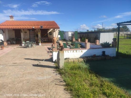 Finca rustica de 1000 metros con casa - CACERES