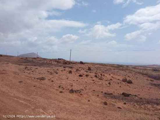 SE VENDE Suelo Rústico en el municipio de Teguise - Teguise