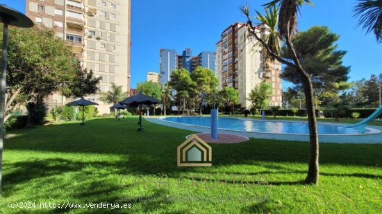  Piso en Alquiler en Puebla De Farnals Valencia 