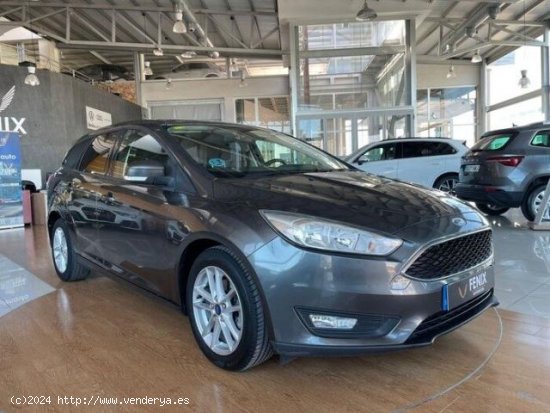 FORD Focus en venta en San Javier (Murcia) - San Javier