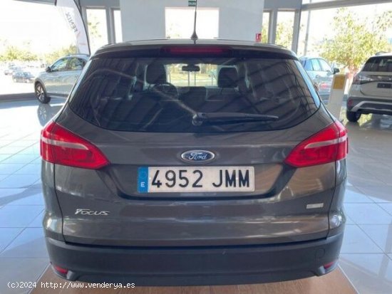 FORD Focus en venta en San Javier (Murcia) - San Javier