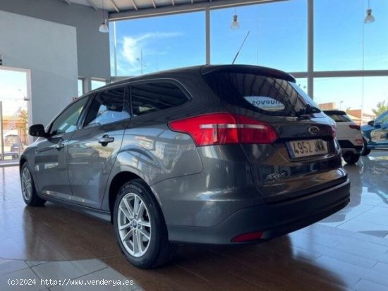 FORD Focus en venta en San Javier (Murcia) - San Javier