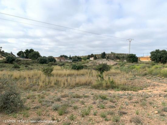  Parcela con terreno rústico de 37.000m2 en zona Bonavista - ALICANTE 