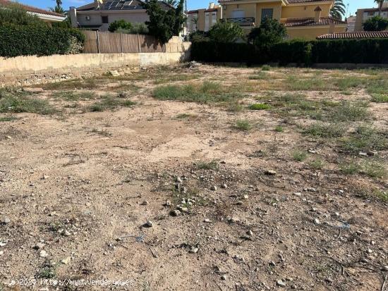 PARCELA URBANA EN ELCHE, ZONA CIUDAD JARDIN - ALICANTE