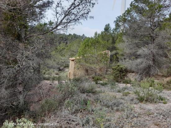 FINCA RUSTICA EN MORA D´EBRE CON MASIA DE PIEDRA SECA - TARRAGONA