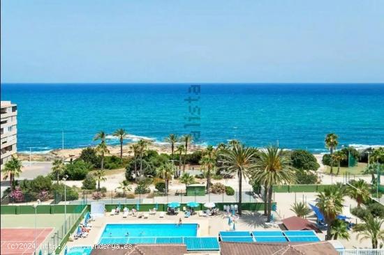  CABO CERVERA, LA MATA, MIRAMAR REFORMADO 1 HABS VISTAS MAR 106.900 EUROS !!! - ALICANTE 