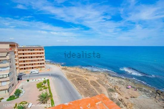 CABO CERVERA, LA MATA, MIRAMAR REFORMADO 1 HABS VISTAS MAR 106.900 EUROS !!! - ALICANTE