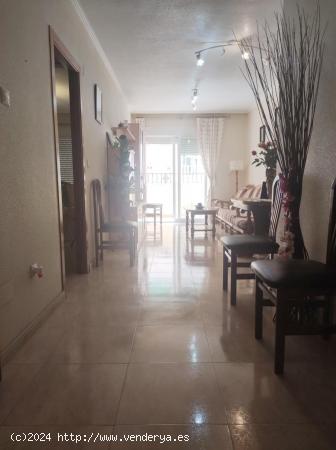 TORREVIEJA ZONA CENTRO 3 HABS 2 BAÑOS TERRAZA AMPLIA 133.900€ - ALICANTE