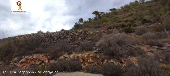 GRAN PARCELA EDIFICABLE EN MARNES CON BONITAS VISTAS - ALICANTE