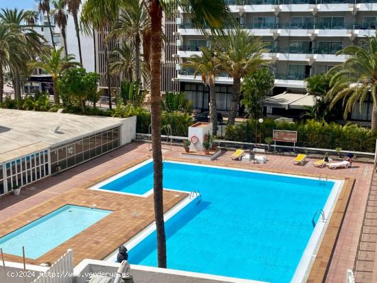  Apartamento muy céntrico en Playa del ingles - LAS PALMAS 