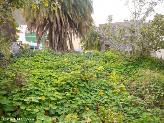 Terreno Urbano en Pasaje el Roble - LAS PALMAS