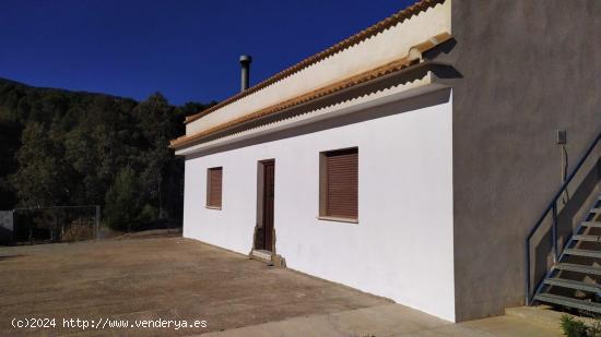 Casa de una planta con terreno de  8.000 m2 en Purchena. ( Almería ). - ALMERIA