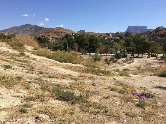 TERRENO URBANO EN ELDA - ALICANTE