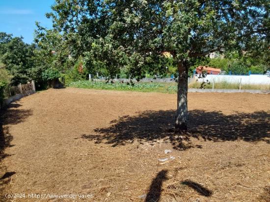 SE VENDE TERRENO EN INSUELA CON LICENCIA Y PROYECTO PARA 6 VIVIENDAS - A CORUÑA