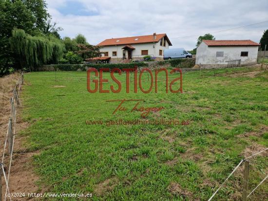 OPORTUNIDAD COMO INVERSIÓN. TOÑAÑES. ALFOZ DE LLOREDO - CANTABRIA