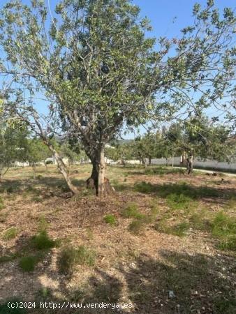 TERRENO URBANIZABLE EN SANT JOSEP DE LA MUNTANYA - TARRAGONA