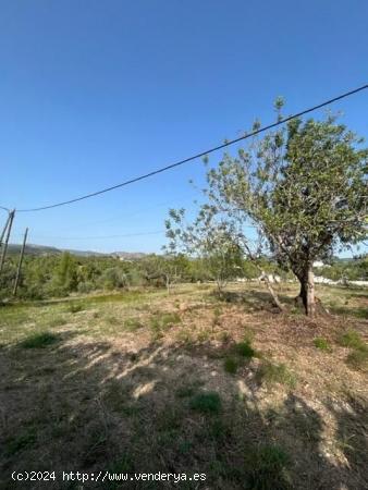 TERRENO URBANIZABLE EN SANT JOSEP DE LA MUNTANYA - TARRAGONA