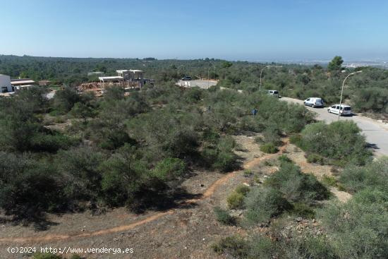  Parcela urbana en Son Gual - BALEARES 