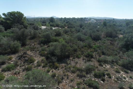 Parcela urbana en Son Gual - BALEARES