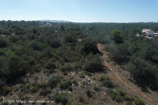 Parcela urbana en Son Gual - BALEARES