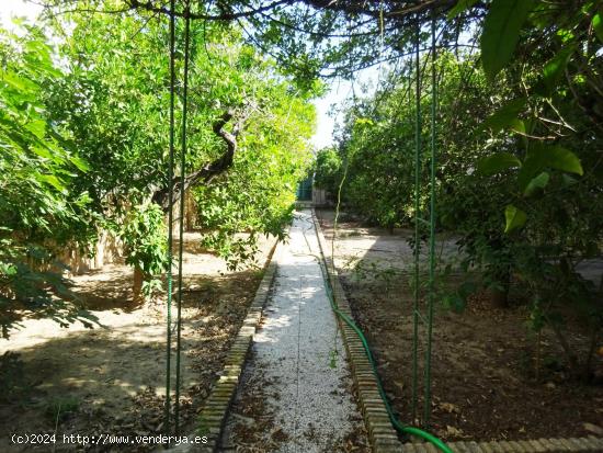  Gran casa señorial en el centro con 480 m 2 de parcela y 292 m 2 construidos. - SEVILLA 