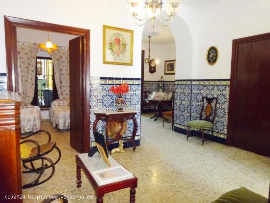 Gran casa señorial en el centro con 480 m 2 de parcela y 292 m 2 construidos. - SEVILLA