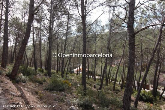 PARCELA EN OLIVELLA, LAS COLINAS - BARCELONA