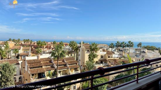 MAGNÍFICO PISO EN EL PALMERAL A PASOS DE LA PLAYA DE LOS LOCOS - ALICANTE