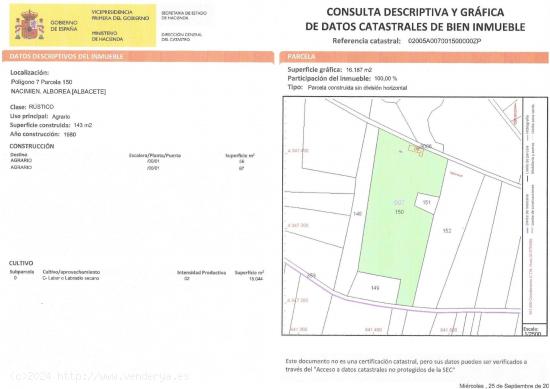 LOTE DE PARCELAS RUSTICAS DE PISTACHOS EN VENTA EN ALBOREA, ALBACETE - ALBACETE