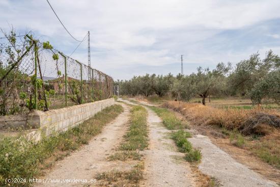  VENTA TERRENO RURAL -- CAMPO GOLF LAS GABIAS - GRANADA 