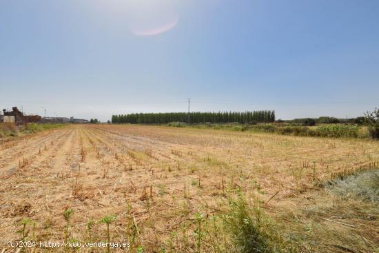 ¡Finca rústica de 4.785m² en Atarfe! - GRANADA