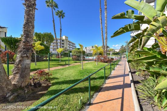 En Venta: Apartamento de 2 Dormitorios Completamente Renovado en Playa del Inglés - LAS PALMAS